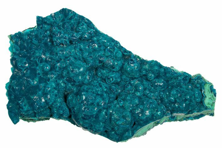 Vibrant Teal Botryoidal Chrysocolla and Malachite - Chile #310110